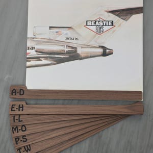 Divisores para colección de discos de vinilo