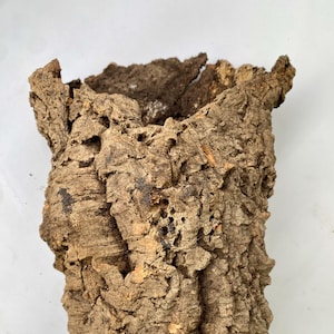 Puede incluir: Una pieza cilíndrica de corteza de corcho natural con una superficie marrón rugosa, profundamente texturizada e irregular. El objeto presenta un centro hueco y bordes irregulares y dentados en la parte superior e inferior, mostrando su aspecto orgánico.