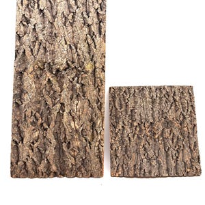 May include: Two pieces of tree bark with a rough, textured surface. One piece is rectangular, and the other is square. The bark is a mix of brown and tan colors, with a natural, organic appearance. The pieces are set against a white background.