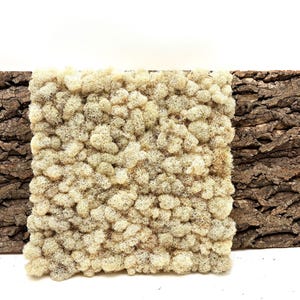 May include: Three textured panels: two with dark brown bark and one with a light beige, moss-like texture. The panels are arranged side by side against a white background, showcasing natural materials.