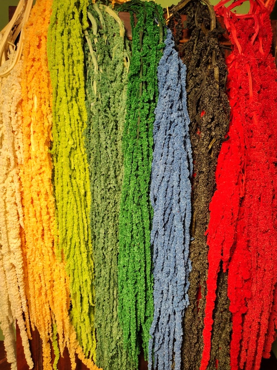 Preserved Amaranthus- Available in a Variety of Colors