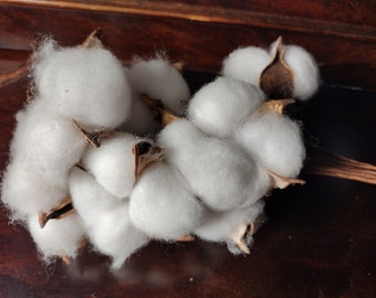 Cotton stems