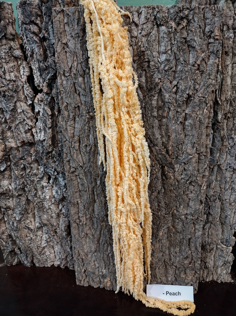 May include: A long strand of dried, pale yellow flowers with a label that reads "Peach". The flowers are hanging against a background of brown tree bark.