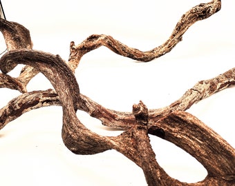 Twisted Jungle Wood
