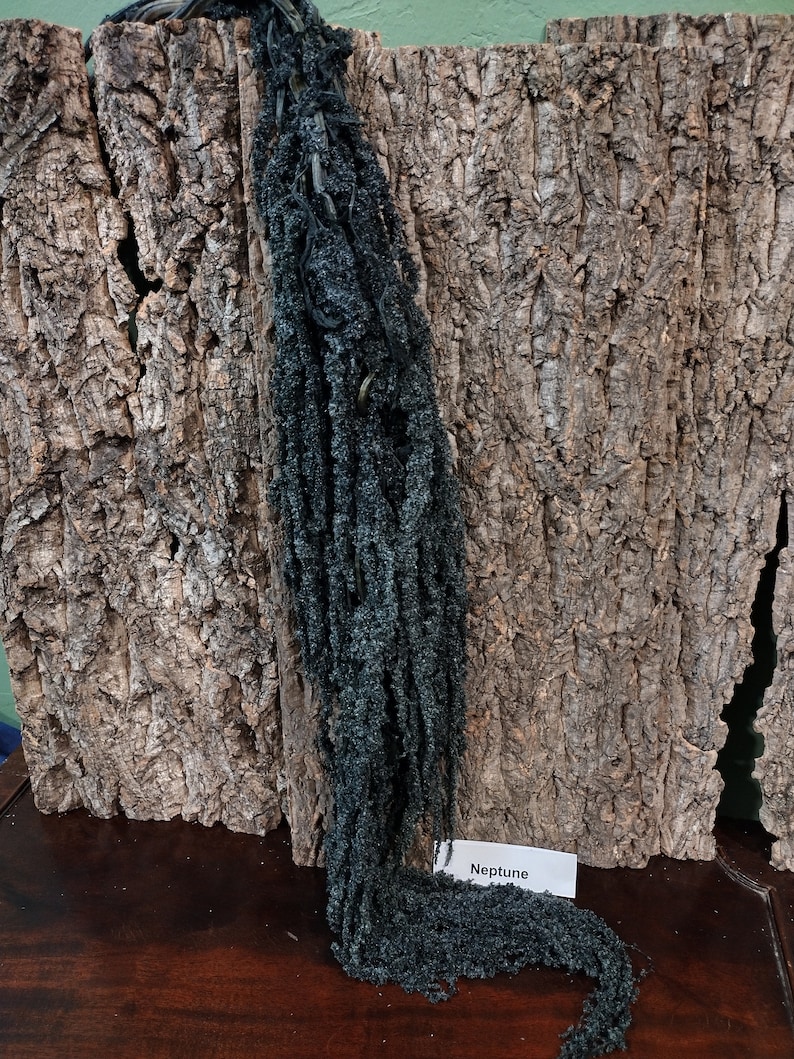May include: A dark blue dried flower arrangement with a white tag that says "Neptune". The flower arrangement is hanging from a piece of cork bark.