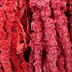 May include: A bunch of dried red amaranth flowers, also known as love-lies-bleeding, arranged in a vertical row. The flowers are a deep red color and have a fuzzy texture.