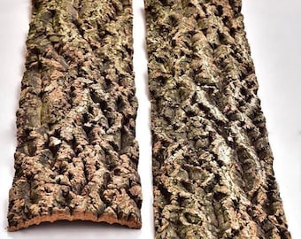 Cork-Oak Bark