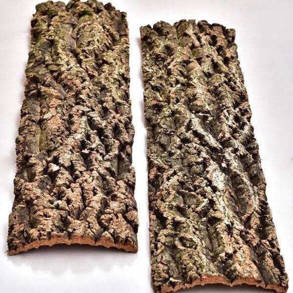 Cork-Oak Bark