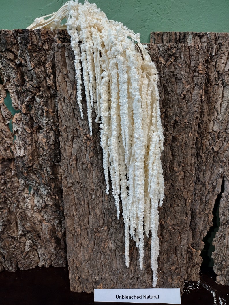 May include: White dried amaranth flower stems hanging against a wood background. The text "Unbleached Natural" is on a white label below the stems.