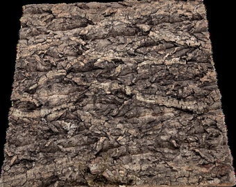 12/12&quot; Cork Oak Panel Stabilized with Insulating Cork