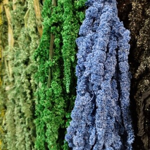 May include: Assortment of dried flower stems in various colors, including yellow, green, blue, and black. The stems are arranged vertically and are all approximately the same length.