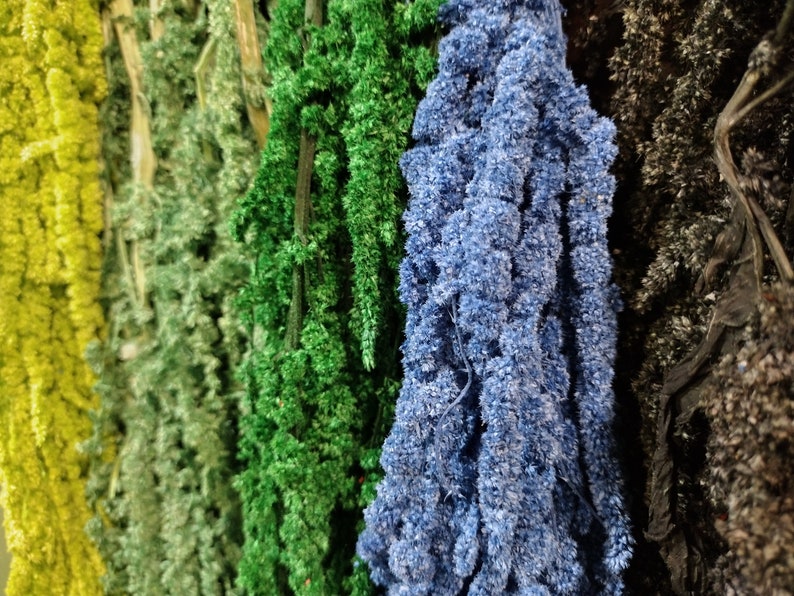 May include: Assortment of dried flower stems in various colors, including yellow, green, blue, and black. The stems are arranged vertically and are all approximately the same length.