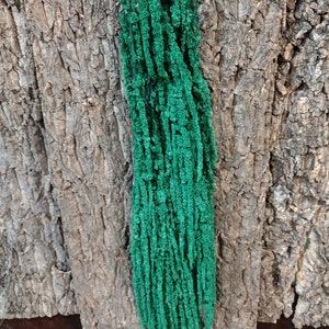 May include: A bunch of green dried basil, hanging against a brown bark background. The label reads "Basil".