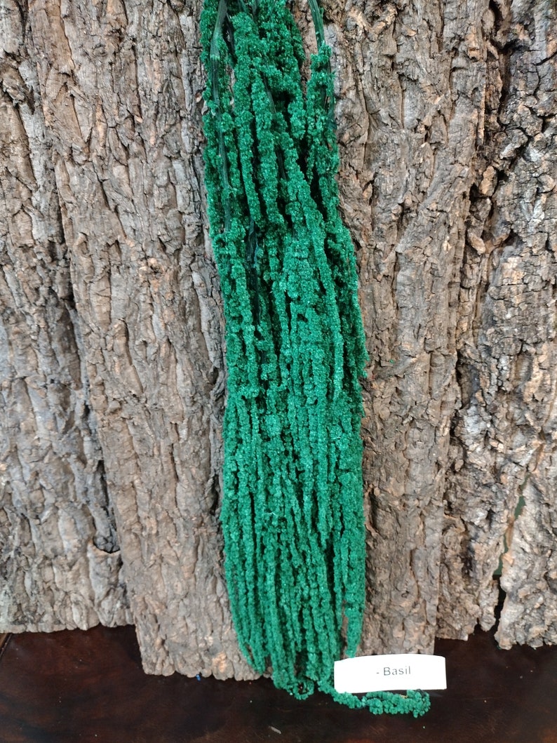 May include: A bunch of green dried basil, hanging against a brown bark background. The label reads "Basil".