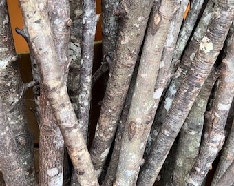 Choose from 5 types of Florida Forest Sticks