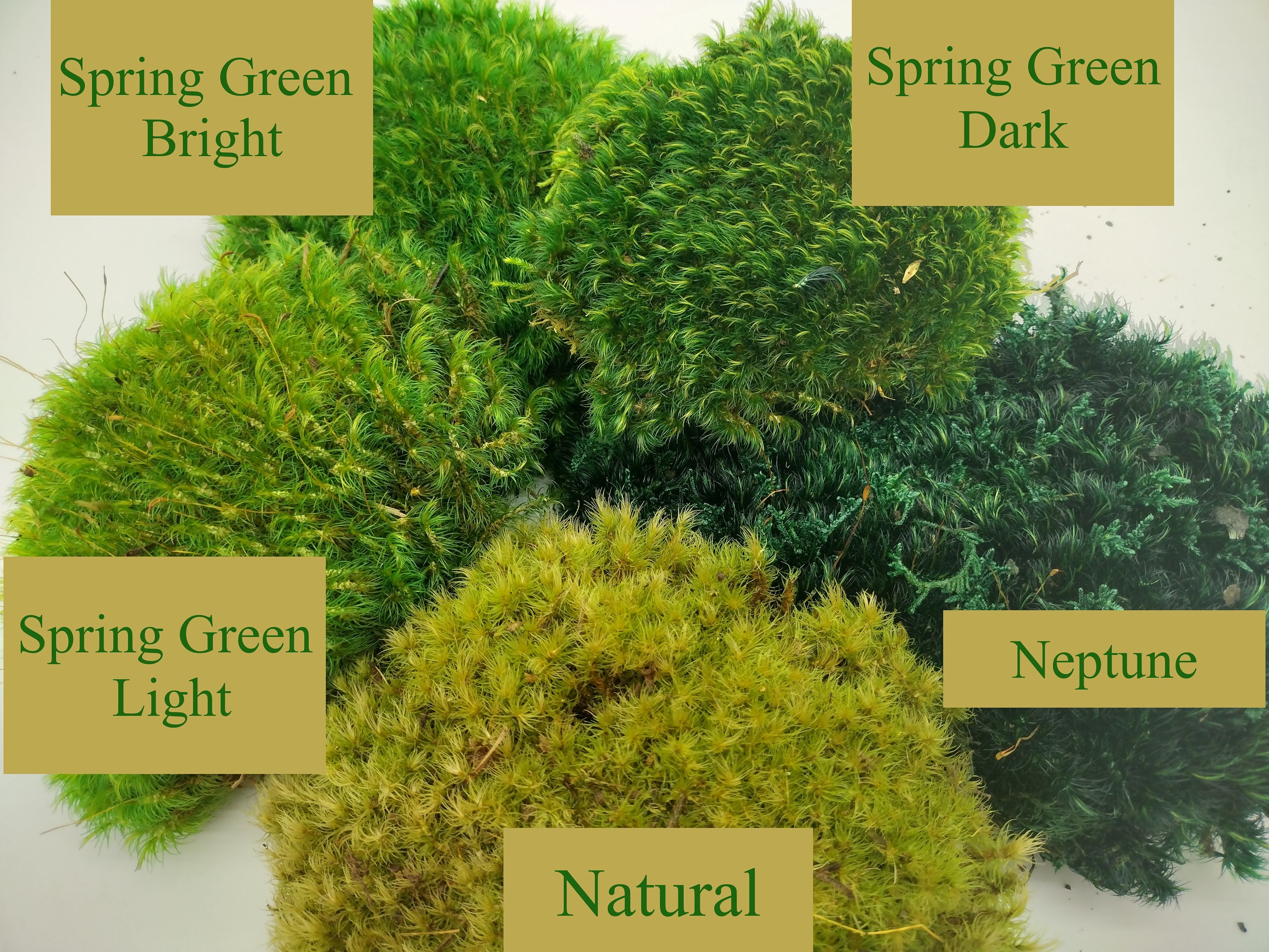 Great Choice Products Fake Moss, Artificial Fresh Green Moss for Wedding Centerpieces Garden Terrariums Decoration (8oz)