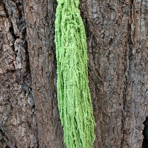 May include: A long strand of green amaranth, also known as tassel flower, hanging against a rustic wood background. The label reads "Chartreuse."