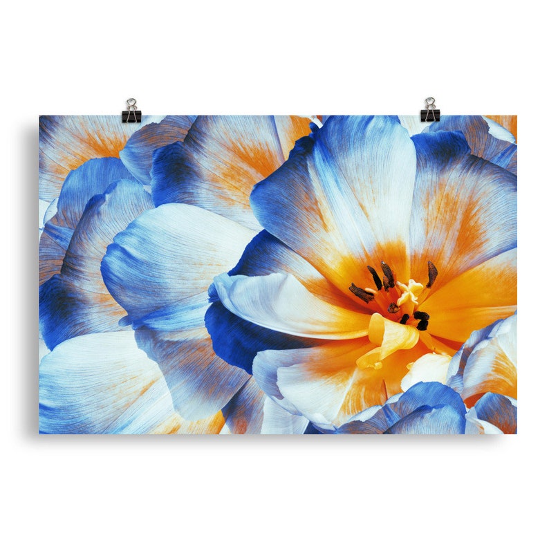 Large Flower Wall Decor Etsy