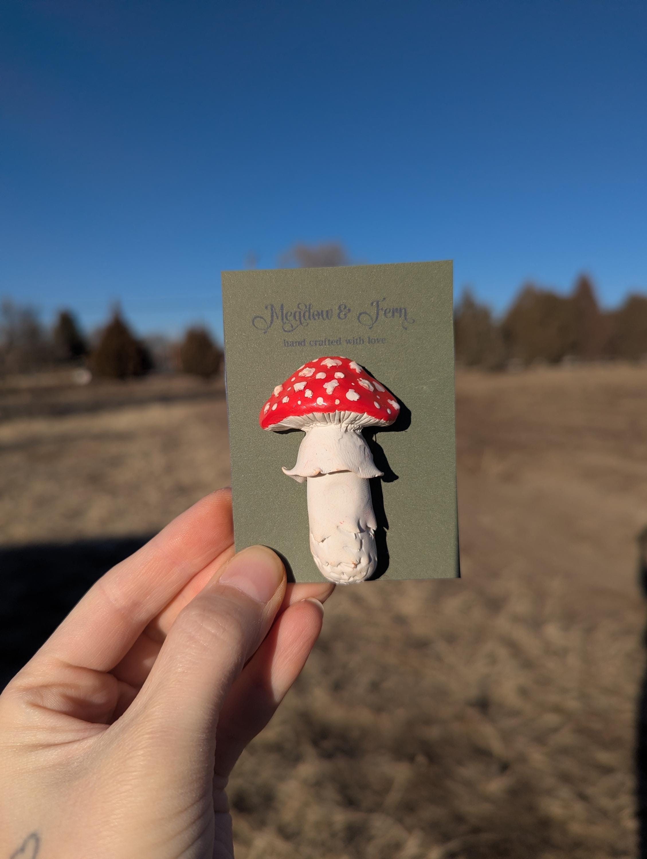 Mushroom Refrigerator Magnet Handmade Polymer Clay - Etsy