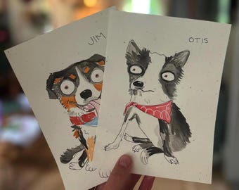 Chaotic pet portraits!