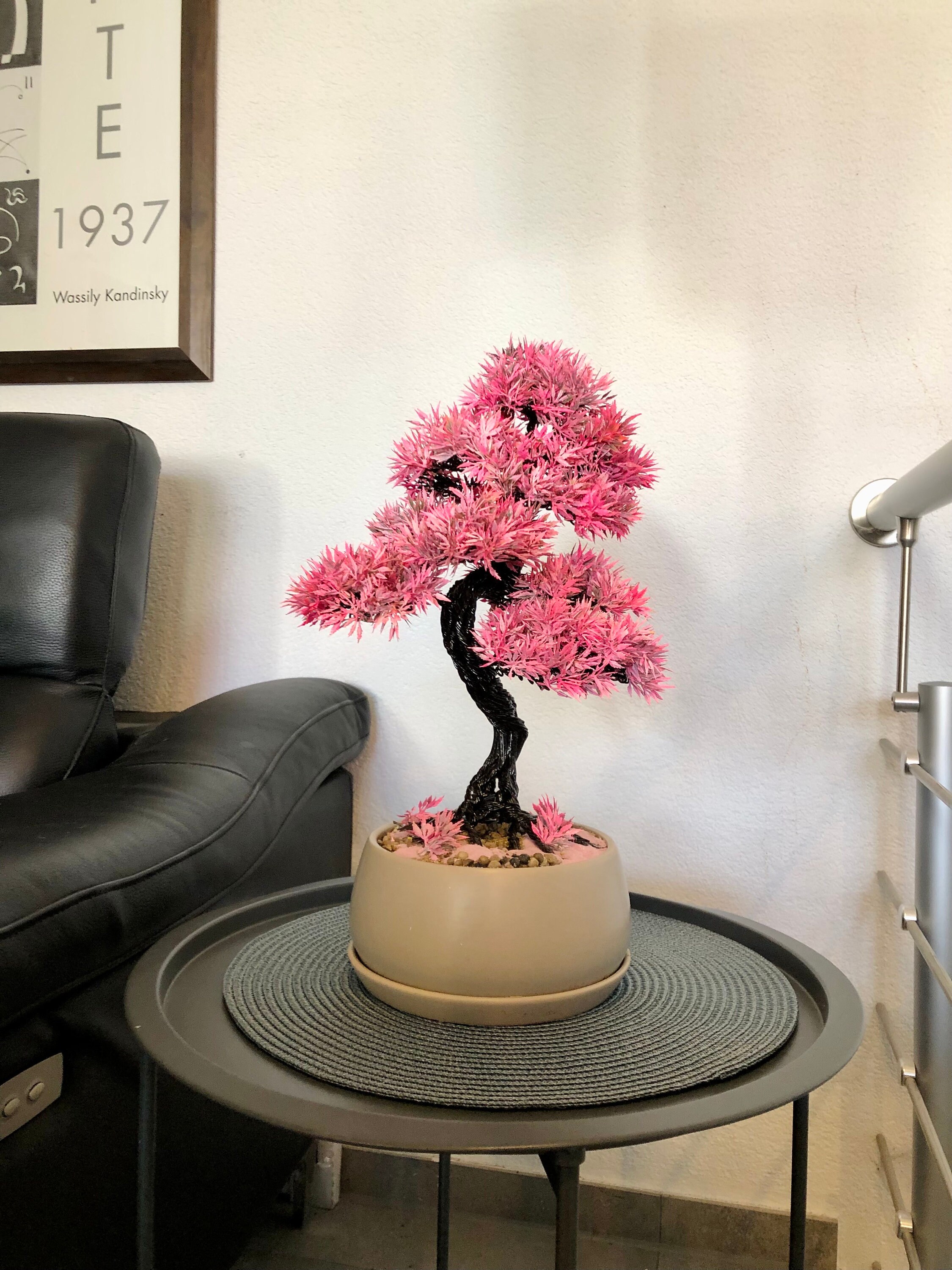 Satsuki Azalea Bonsai Yellow Leaves Bulk Buy