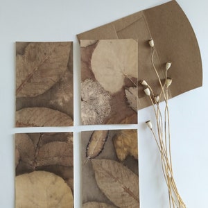 Papier éco-imprimé Motifs botaniques Cartes de voeux Cadeaux respectueux de l'environnement Impressions nature Cartes de célébrations Cadeaux écologiques Artisanat