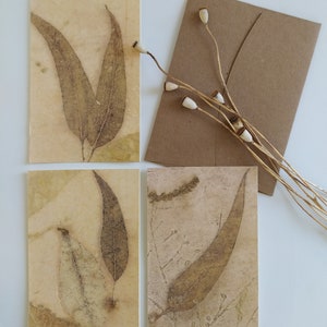 Papier éco-imprimé Motifs botaniques Cartes de voeux Cadeaux respectueux de l'environnement Impressions nature faites main Artisanat durable