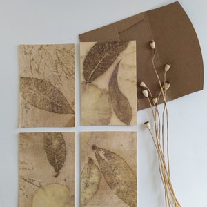 Milieuvriendelijk papier Botanische ontwerpen Wenskaarten Milieuvriendelijke cadeaus Natuurafdrukken Feesten Kaarten Ecocadeaus Handgemaakte kunst