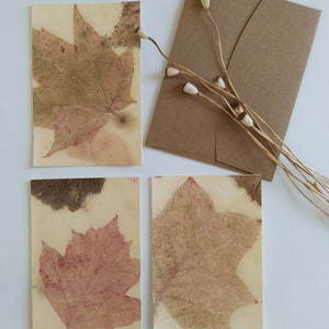 Papier écologique Motifs botaniques Cartes de voeux Cadeaux écologiques Impression faite main Artisanat écologique