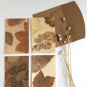 Carta stampata ecologica, disegni botanici, biglietti d'auguri, regali eco-compatibili, stampe naturalistiche fatte a mano, artigianato sostenibile
