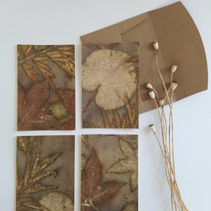 Milieuvriendelijk papier Botanische ontwerpen Wenskaarten Milieuvriendelijke cadeaus Handgemaakte natuurprints Handgemaakte elegantie