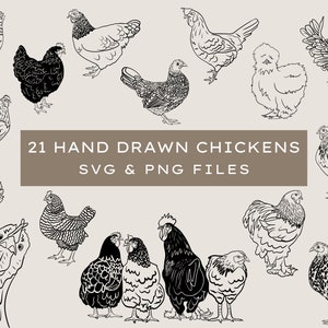 Kip SVG | Boerderij Svg | Handgetekende | Kippenrassen | Kip Clipart | | Knippen Kippenhok bord