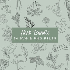 Può includere: Una collezione di 34 illustrazioni disegnate a mano di diverse erbe e spezie, tra cui lavanda, rosmarino, basilico, aglio e cannella. Le illustrazioni sono in bianco e nero e sono disposte su uno sfondo verde chiaro. Il testo "Herb Bundle 34 SVG & PNG Files" è visualizzato in un rettangolo bianco.