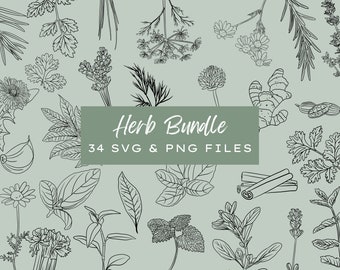 Hand-Drawn Kitchen Herb SVG Bundle | Botanical Line Art (Digital Download)