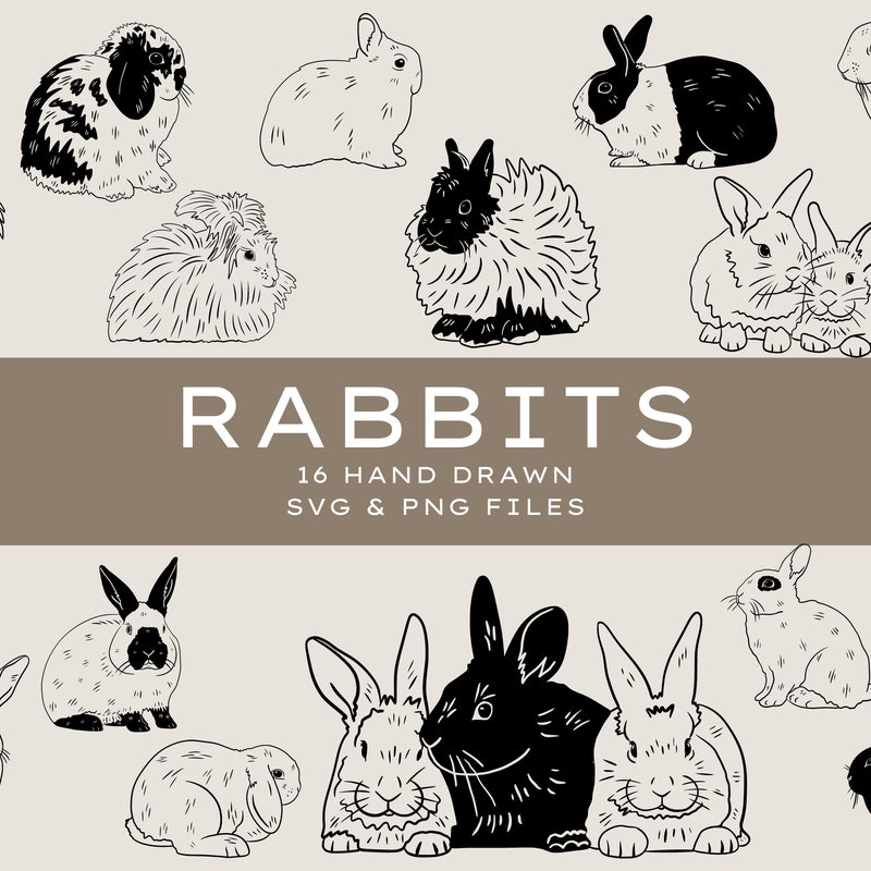 Rabbit Svg - Etsy