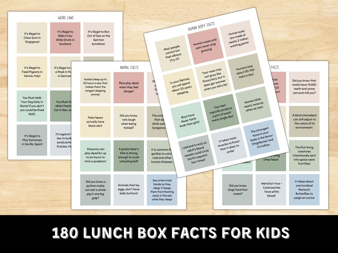 Lunch Box Facts for Kids Lunch Notes Printable Facts for Kids Printable
