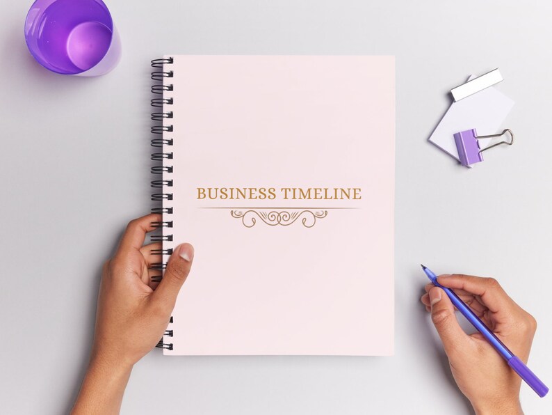 Business Timeline, Business Timeline Template, Pink Business Planner ...