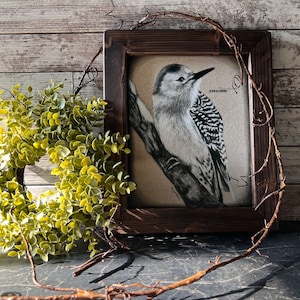 Woodpecker Art Print: Vintage Espresso Wood Frame, Bird Lover Gift