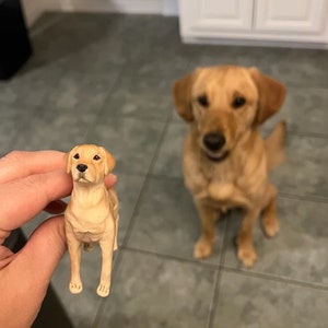 Figuras de perro personalizadas, cumpleaños de perro, adorno para tarta, adorno para tarta de boda de perro, regalos para amantes de los perros, regalo conmemorativo para mascotas, regalos de decoración para mascotas