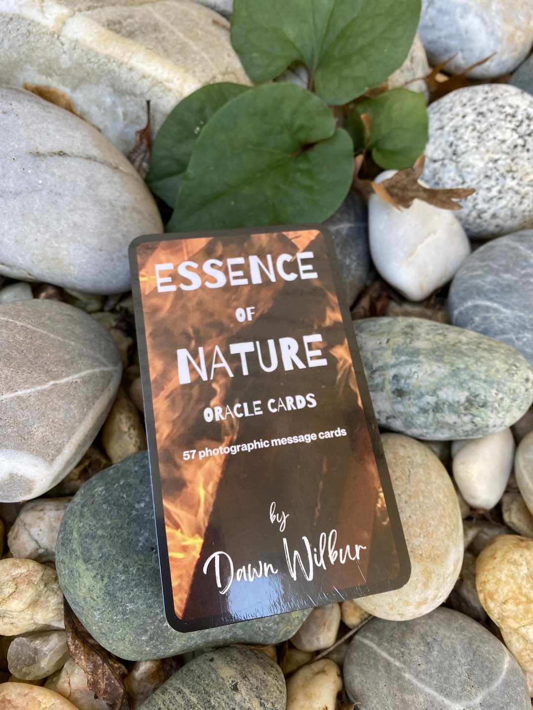 Essence of Nature Oracle Cards, a 57card Oracle Photographic Deck
