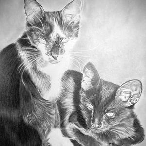 Retrato de mascota personalizado dibujado a mano