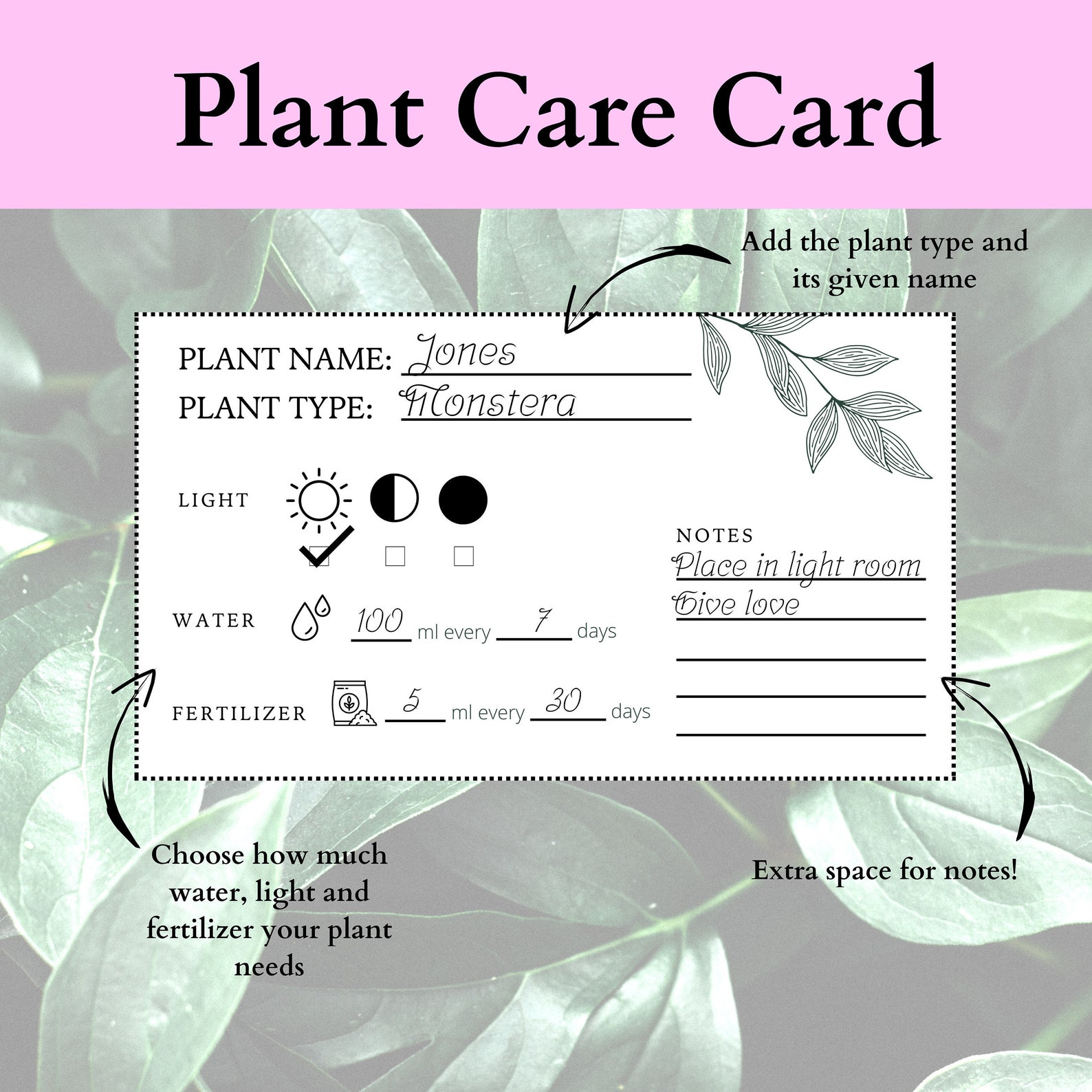 Minimalistic Plant Care Card, Digital Download, Printable, Instant ...