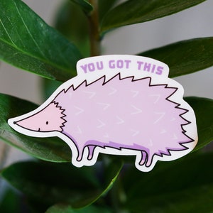 Positive Hedgehog Sticker - &quot;You Got This&quot; - Affirmation Sticker | Cute Animal Stickers | Cute Stickers | Waterproof Vinyl