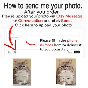 May include: A screenshot of a computer screen showing instructions on how to send a photo via Etsy message or conversation. The instructions include a red arrow pointing to a text box where the user can type their phone number. The text says "Please fill in the phone number here to deliver it to you accurately."