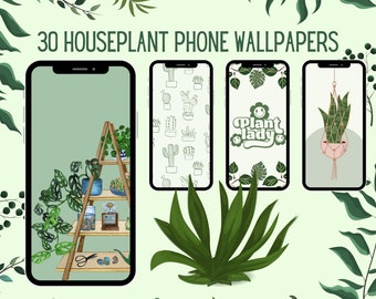 Phone Background House Plant Phone Wallpapers  Instagram Story Backgrounds iPhone Android Screen Succulents Phone Green Plant Theme