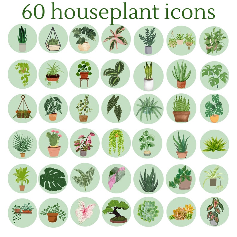 60 Houseplant Icons Instagram Highlight Covers Themed App Images Indoor ...