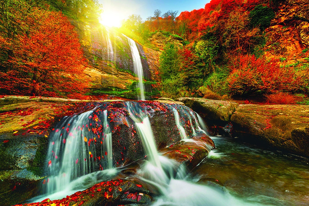 OCEANCANVASNART Forest Waterfall With Autumn Colors Scenery Modern for ...