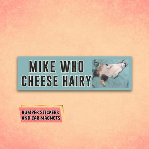 Car Magnet, bumper magnet, rude gifts, bumper sticker, funny magnets, offensive stickers, cat meme, sarcastic silly sticker, inappropriate