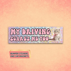 Car Magnet, bumper magnet, car gifts, bumper sticker, funny magnets, funny stickers, cute cat car magnet, sarcastic sticker, silly sticker