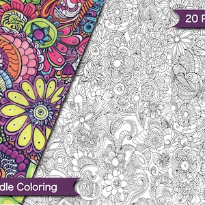 Puede incluir: Un libro para colorear de garabatos en blanco y negro con 20 páginas de intrincados diseños florales. La portada muestra una muestra de los diseños, con una versión a color a la izquierda y una versión en blanco y negro a la derecha.